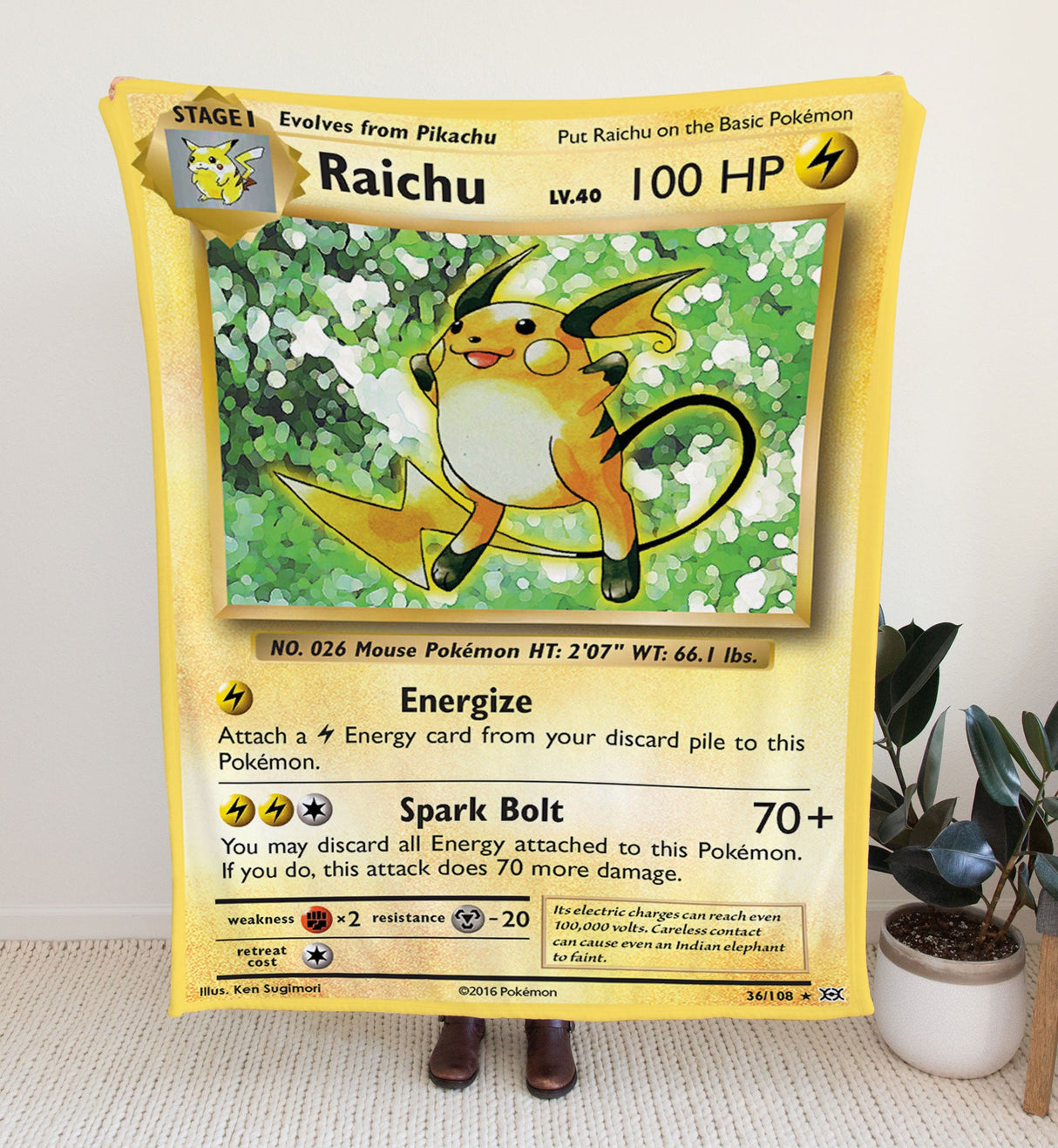 Custom Raichu XY Series Blanket