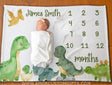 Blankets Dinosaur Milestone Blanket, Dino Baby Milestone Blanket, Dinosaur Baby Boy Blanket, Personalized Monthly Baby Blanket