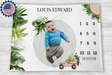 Blankets Personalized Green Life Safari Milestone Blanket, Custom Name Monthly Growth Tracker Baby Boy Photo Prop Gender Reveal Tapestry Nursery Theme